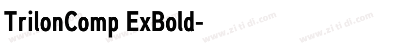 TrilonComp ExBold字体转换